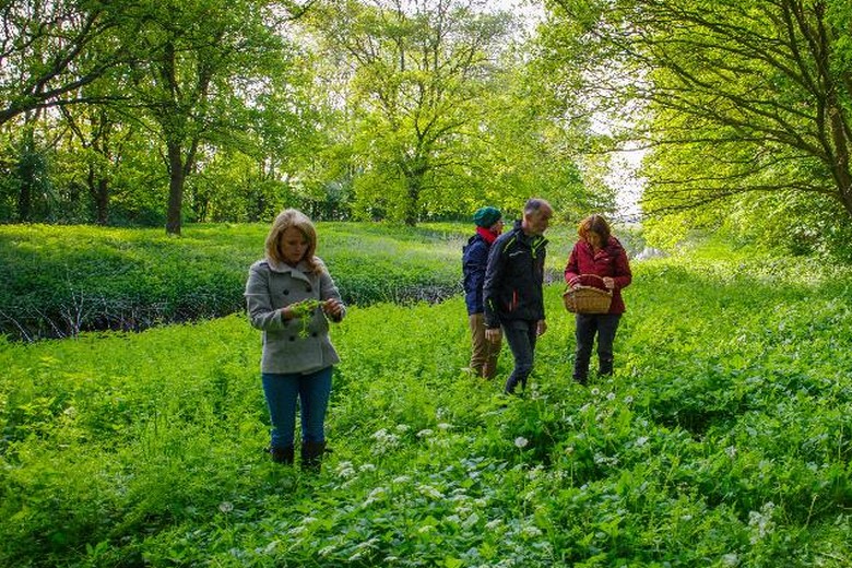 18 okt – Wilde wandeling Benneveld