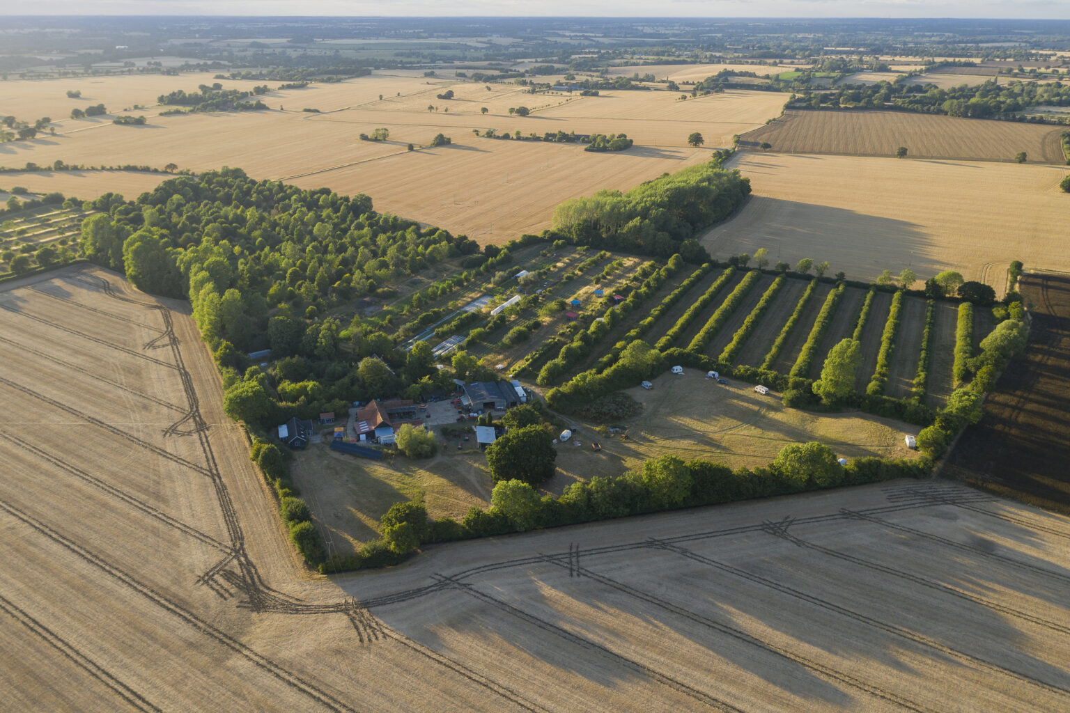 Herstellende landbouw
